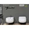 Pack Bâti-Support Autportant Evo Regiplast + Plaque de Commande Globe pour WC Suspendu